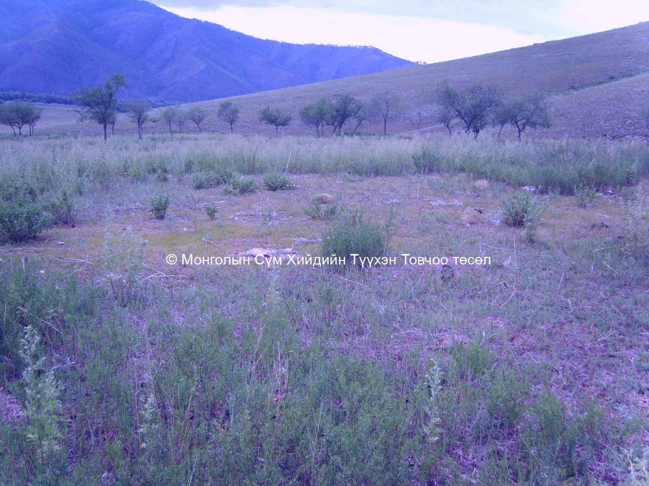 Зүүн-Өмнөд талаас авсан